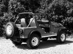 Jeep CJ-5 Renegade 1979 года